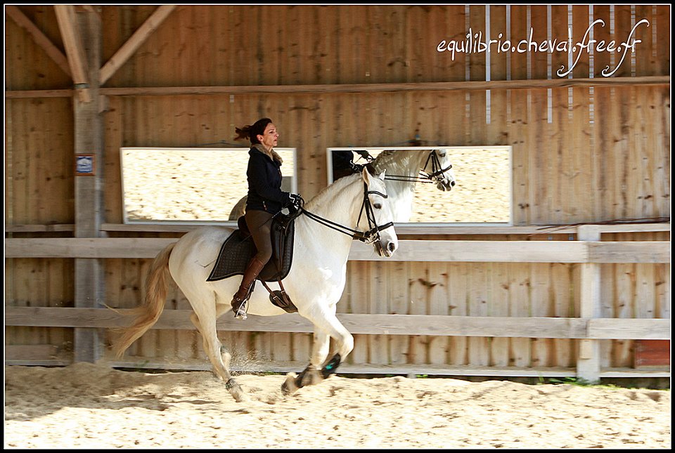 2015-04-04-dany-artillero-002