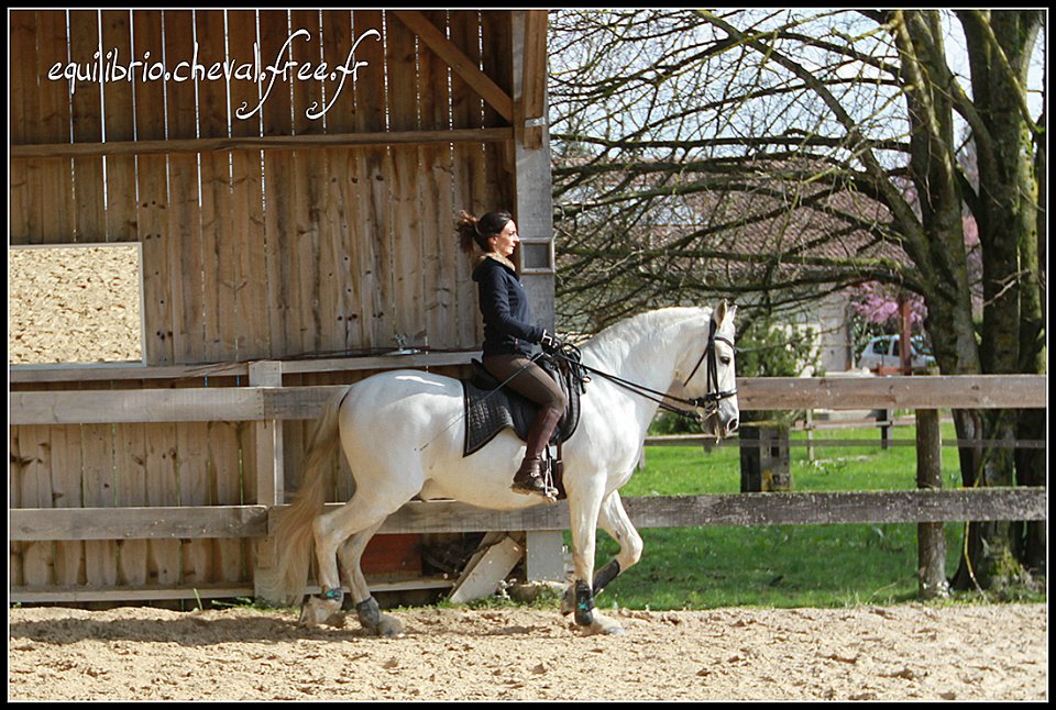 2015-04-04-dany-artillero-019