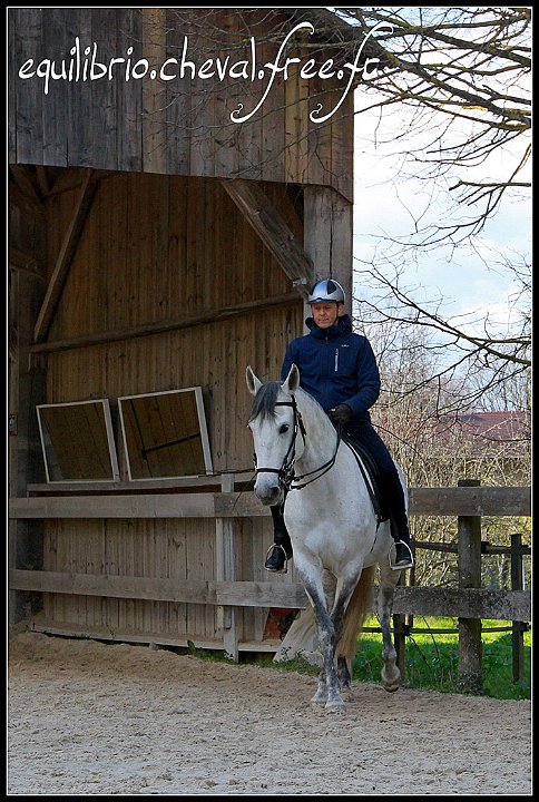 2015-04-04-dany-safire-075