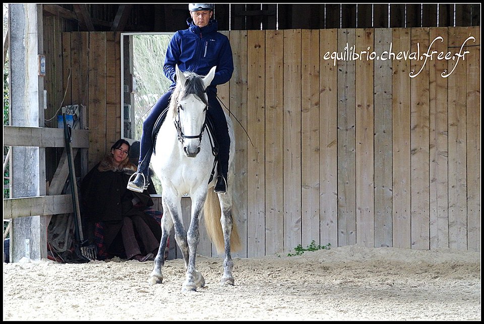 2015-04-04-dany-safire-286