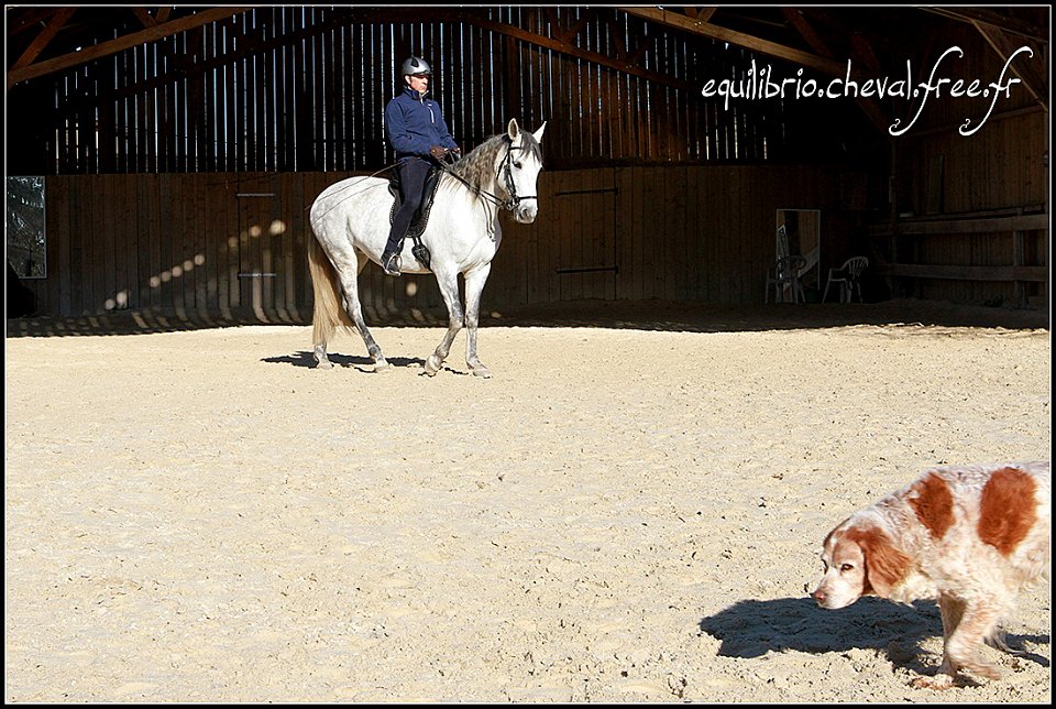 2015-04-04-dany-safire-327