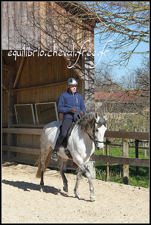 2015-04-04-dany-safire-398
