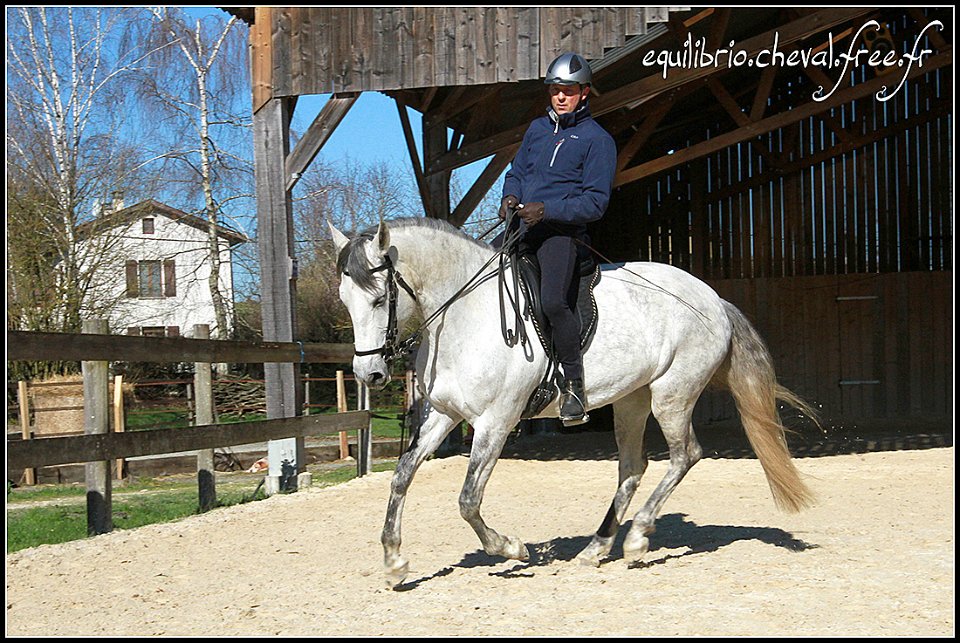 2015-04-04-dany-safire-418