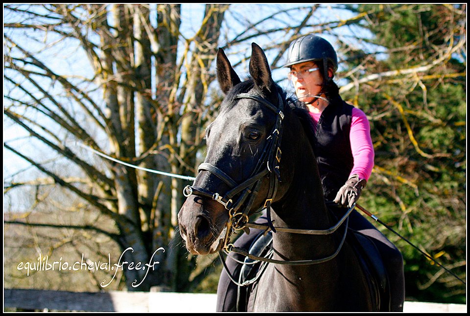 2015-04-04-dany-silvano-004