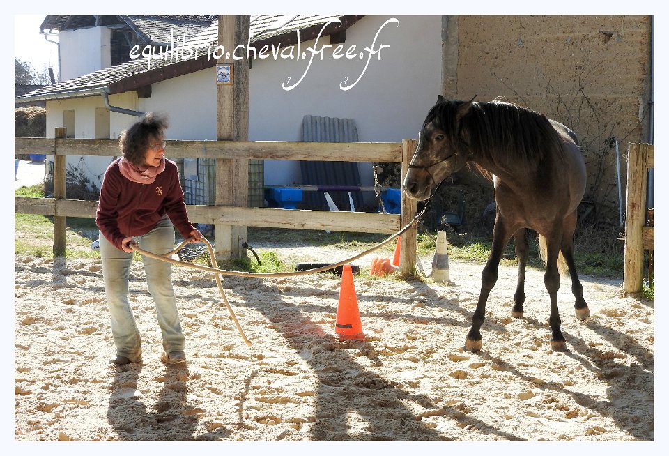 2017-02-19-equifeel-bambino-041