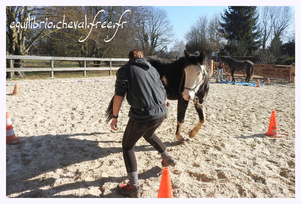 2017-02-19-equifeel-ellboy-005