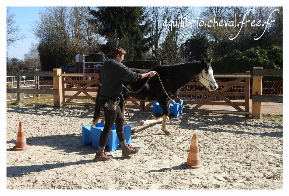 2017-02-19-equifeel-ellboy-041