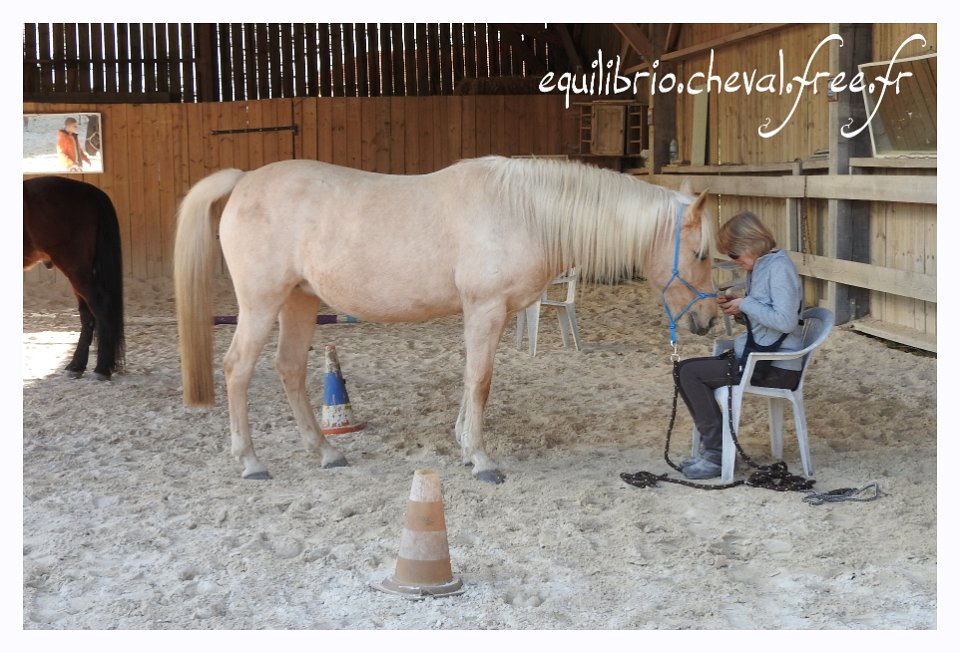 2017-02-19-equifeel-kea-052