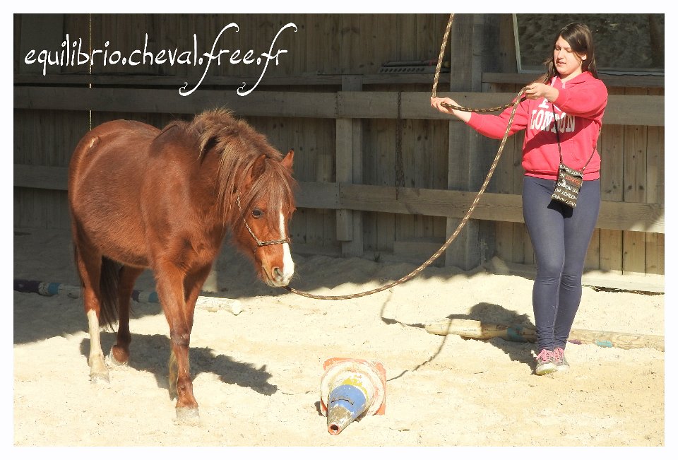 2017-02-19-equifeel-zafira-019