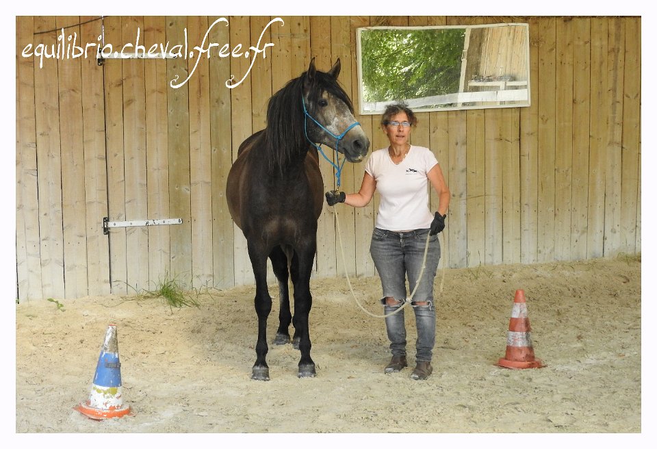 2017-07-23-equilibrio-equifeel-bambino-003