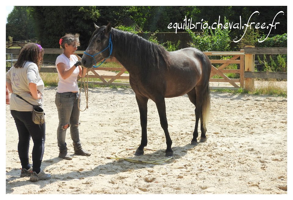 2017-07-23-equilibrio-equifeel-bambino-023