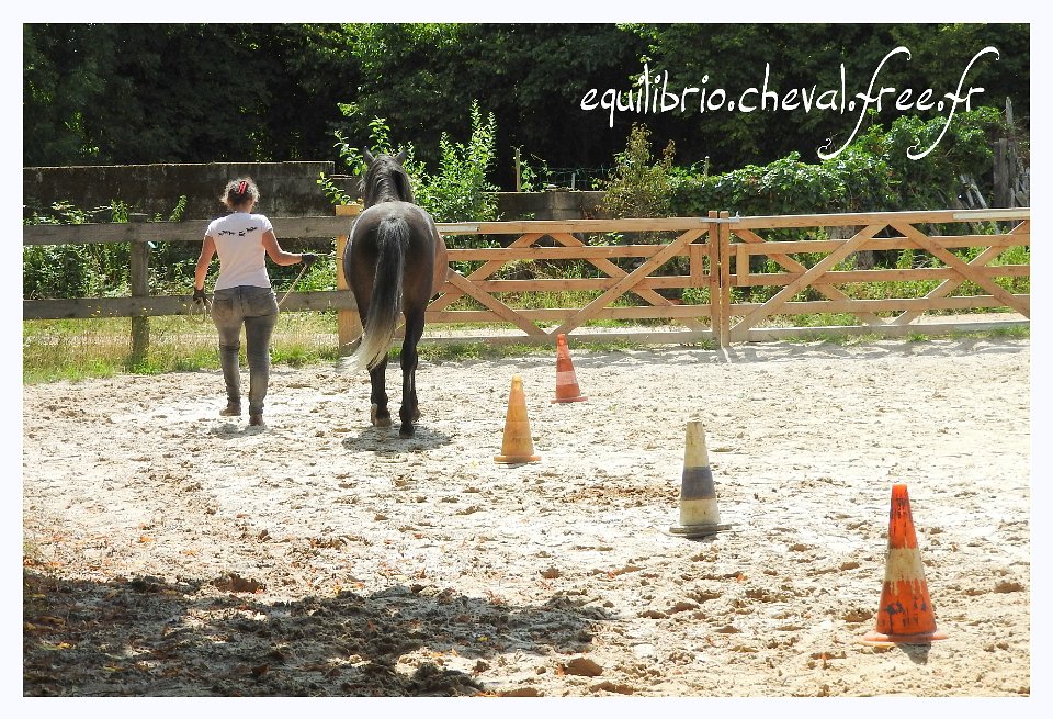 2017-07-23-equilibrio-equifeel-bambino-050