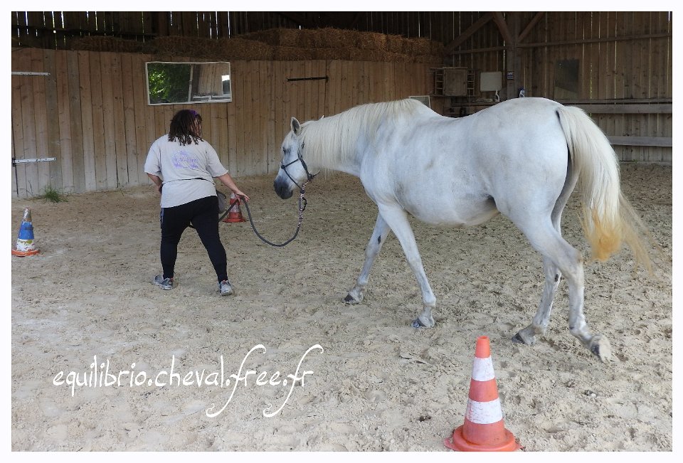 2017-07-23-equilibrio-equifeel-infante-002