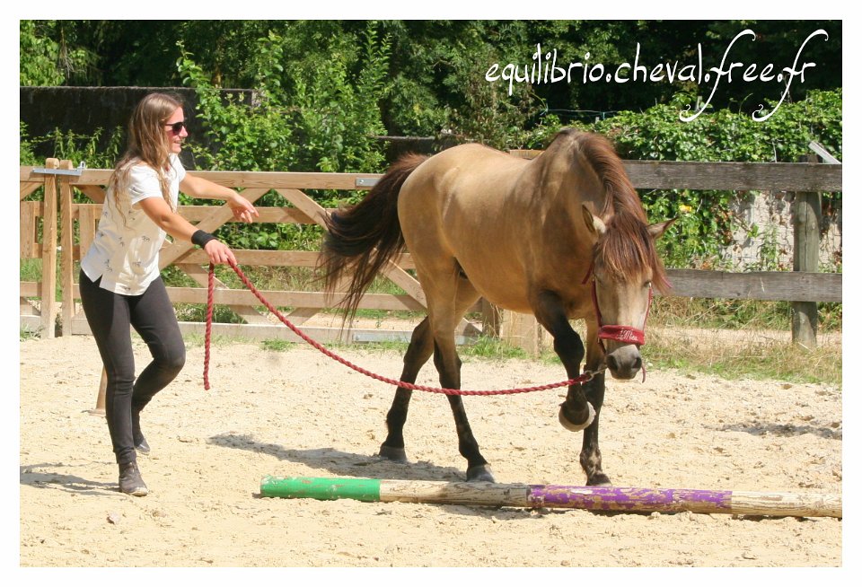 2017-07-23-equilibrio-equifeel-samourai-031