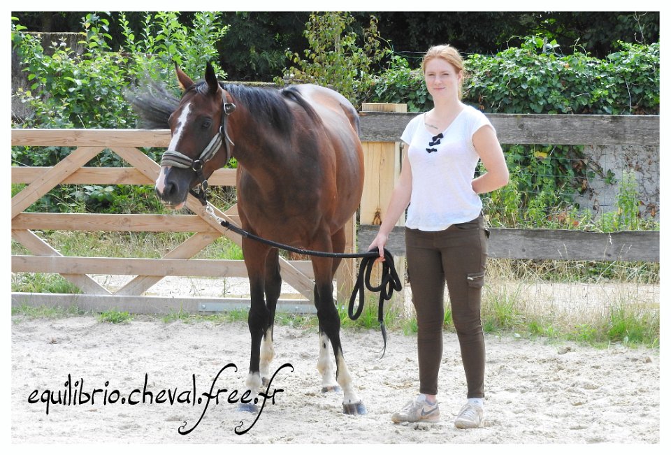 2017-07-23-equilibrio-equifeel-solennelle-001
