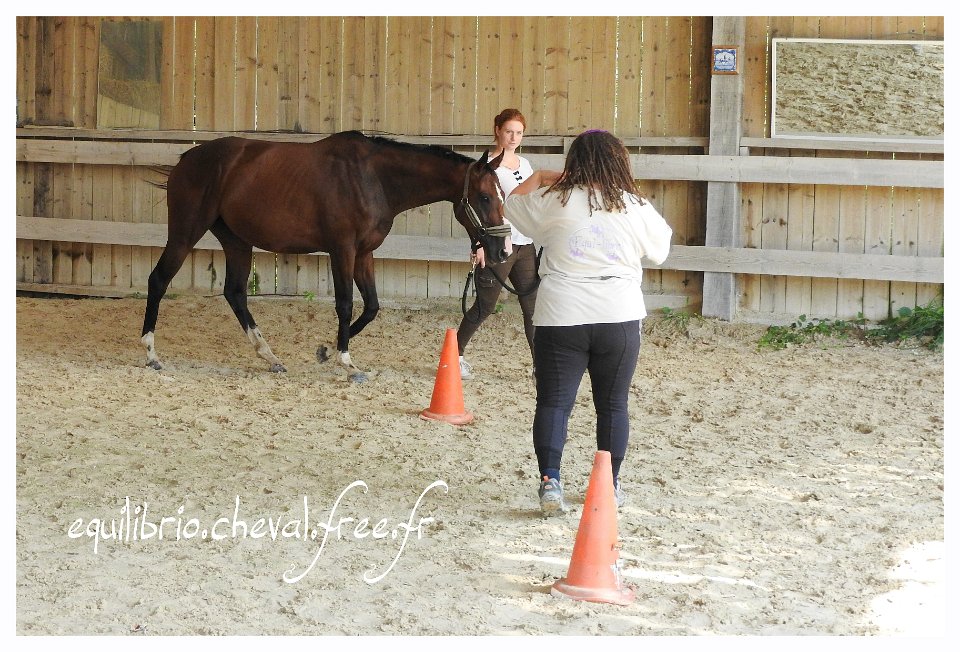 2017-07-23-equilibrio-equifeel-solennelle-003