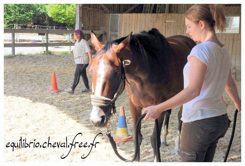 2017-07-23-equilibrio-equifeel-solennelle-019