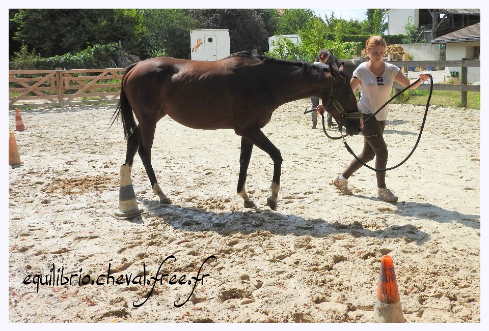 2017-07-23-equilibrio-equifeel-solennelle-024