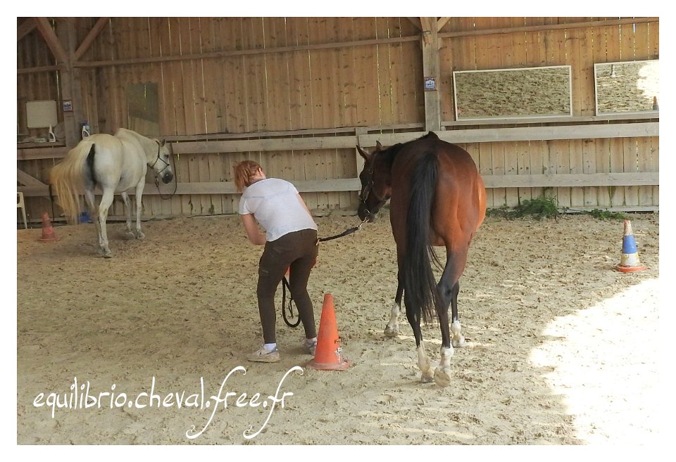 2017-07-23-equilibrio-equifeel-solennelle-035