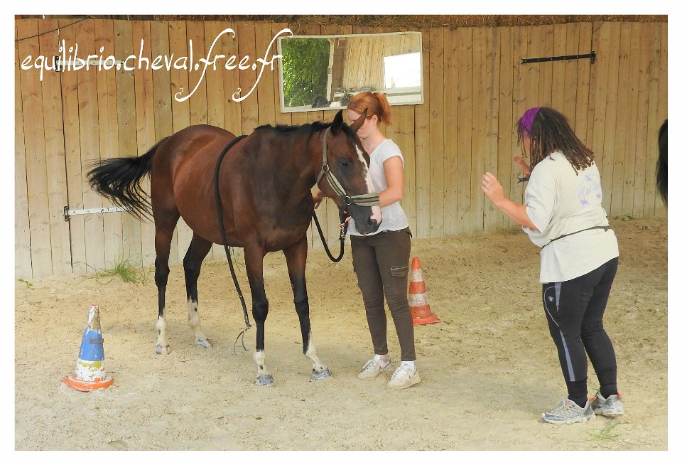 2017-07-23-equilibrio-equifeel-solennelle-055