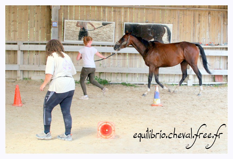 2017-07-23-equilibrio-equifeel-solennelle-062