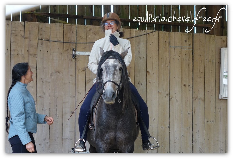 Equilibrio - stage dressage avec Dany Lahaye - BAMBINO MENEZES, PSL et Isabelle