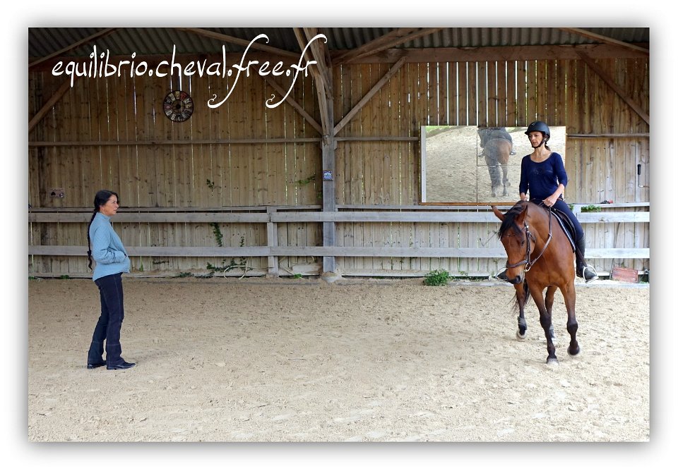 Equilibrio - stage dressage avec Dany Lahaye - BOLERO DES COMBES, SF et Anne Marie