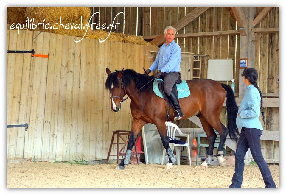 Equilibrio - stage dressage avec Dany Lahaye - DON DIEGO DE MASSA, PSL et Roland