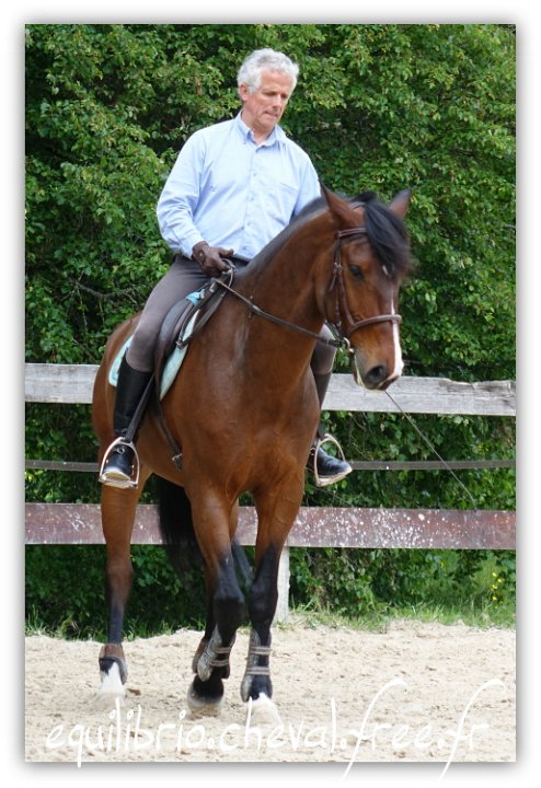 Equilibrio - stage dressage avec Dany Lahaye - DON DIEGO DE MASSA, PSL et Roland