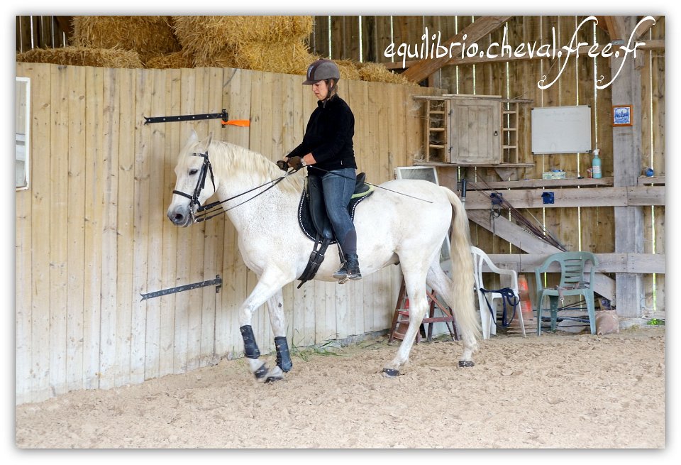 Equilibrio - stage dressage avec Dany Lahaye - MYSTIC VIRIATO, Ibérique et Natacha