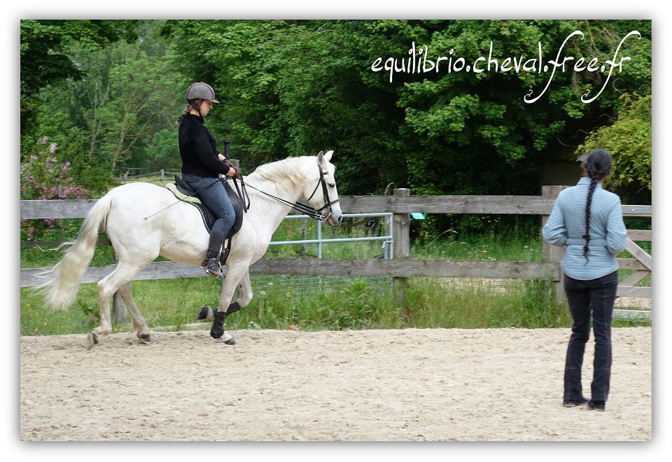 Equilibrio - stage dressage avec Dany Lahaye - MYSTIC VIRIATO, Ibérique et Natacha