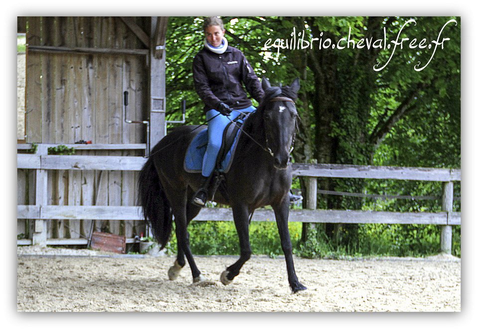 Equilibrio - stage dressage avec Dany Lahaye - TAIGA TF x ESP et Charlene