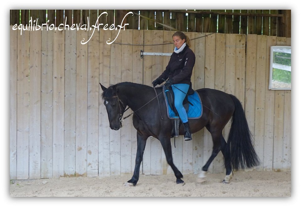 Equilibrio - stage dressage avec Dany Lahaye - TAIGA TF x ESP et Charlene