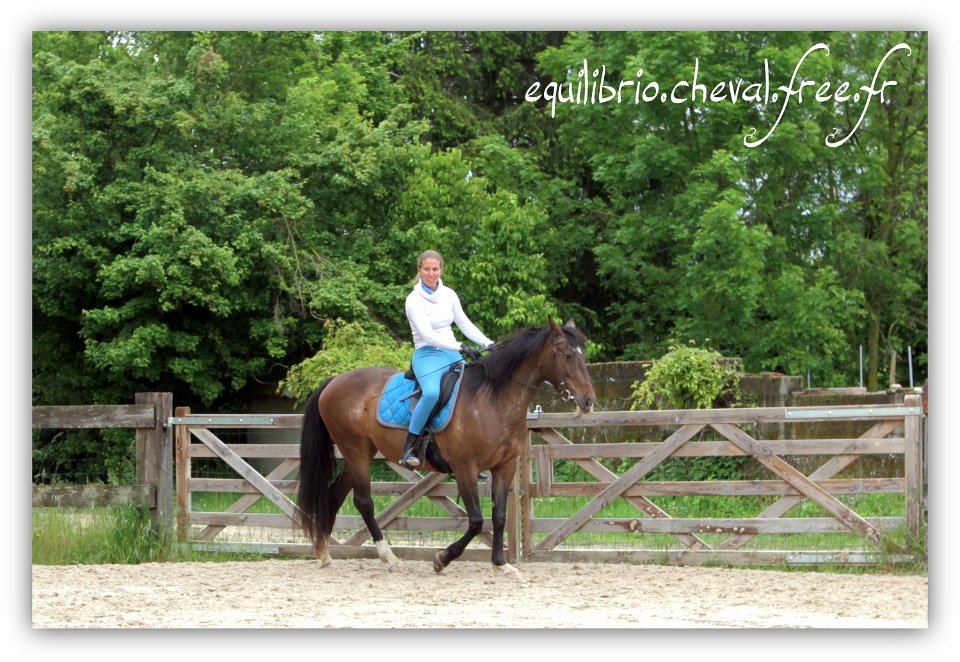 Equilibrio - stage dressage avec Dany Lahaye - TOSCANE PS x ESP et Charlene