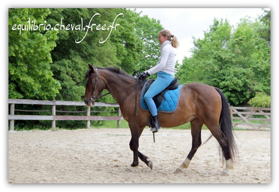 Equilibrio - stage dressage avec Dany Lahaye - TOSCANE PS x ESP et Charlene