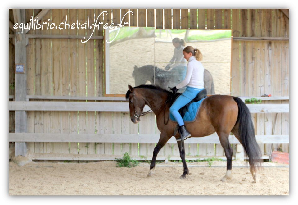 Equilibrio - stage dressage avec Dany Lahaye - TOSCANE PS x ESP et Charlene