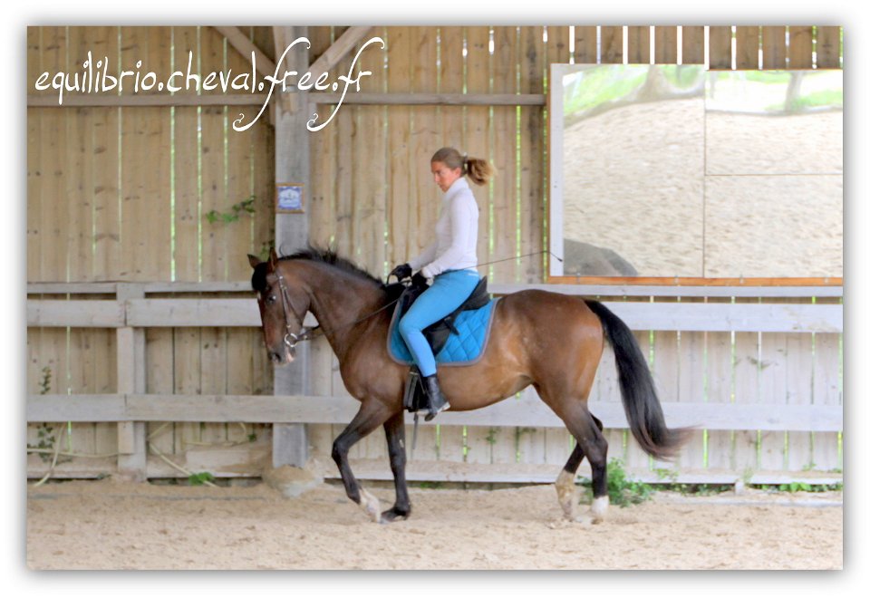 Equilibrio - stage dressage avec Dany Lahaye - TOSCANE PS x ESP et Charlene