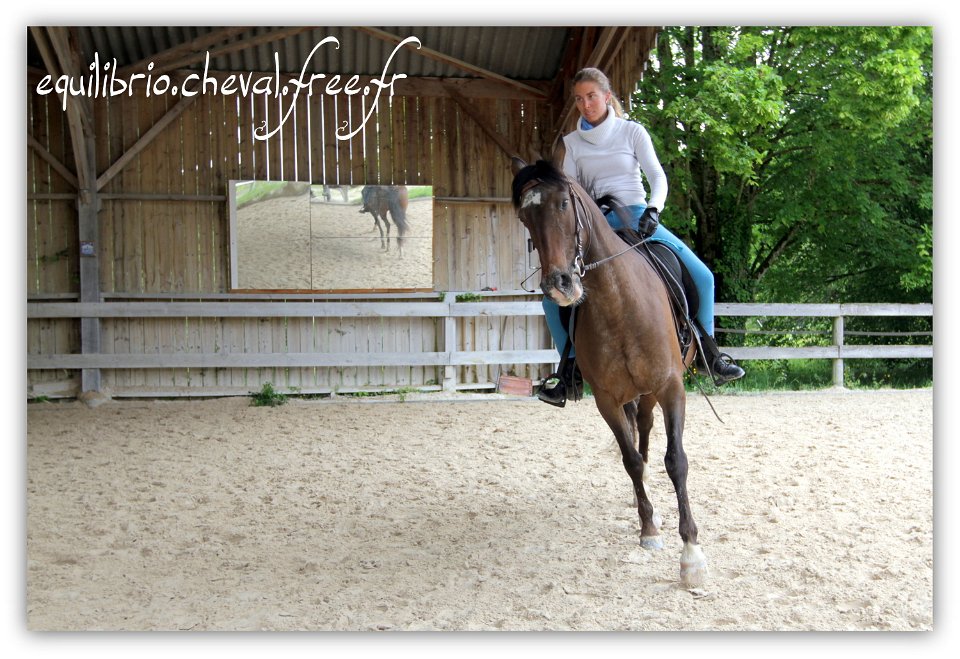 Equilibrio - stage dressage avec Dany Lahaye - TOSCANE PS x ESP et Charlene