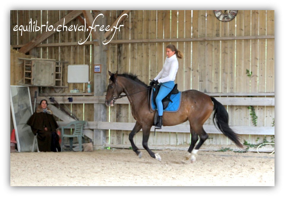 Equilibrio - stage dressage avec Dany Lahaye - TOSCANE PS x ESP et Charlene