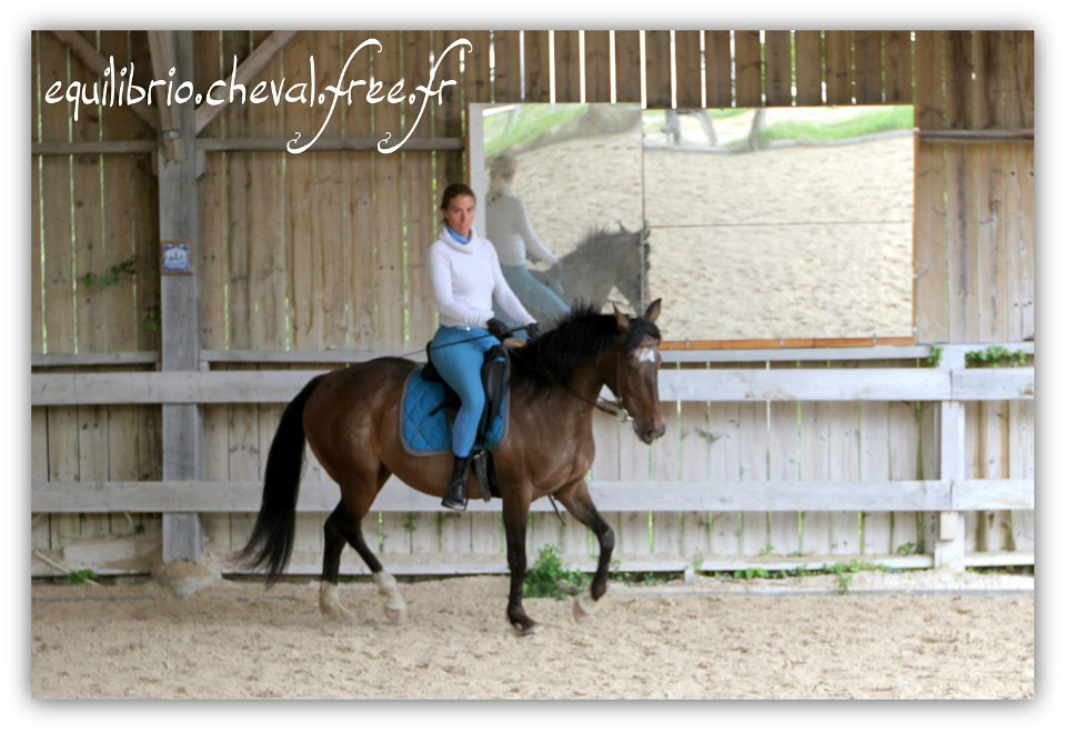 Equilibrio - stage dressage avec Dany Lahaye - TOSCANE PS x ESP et Charlene