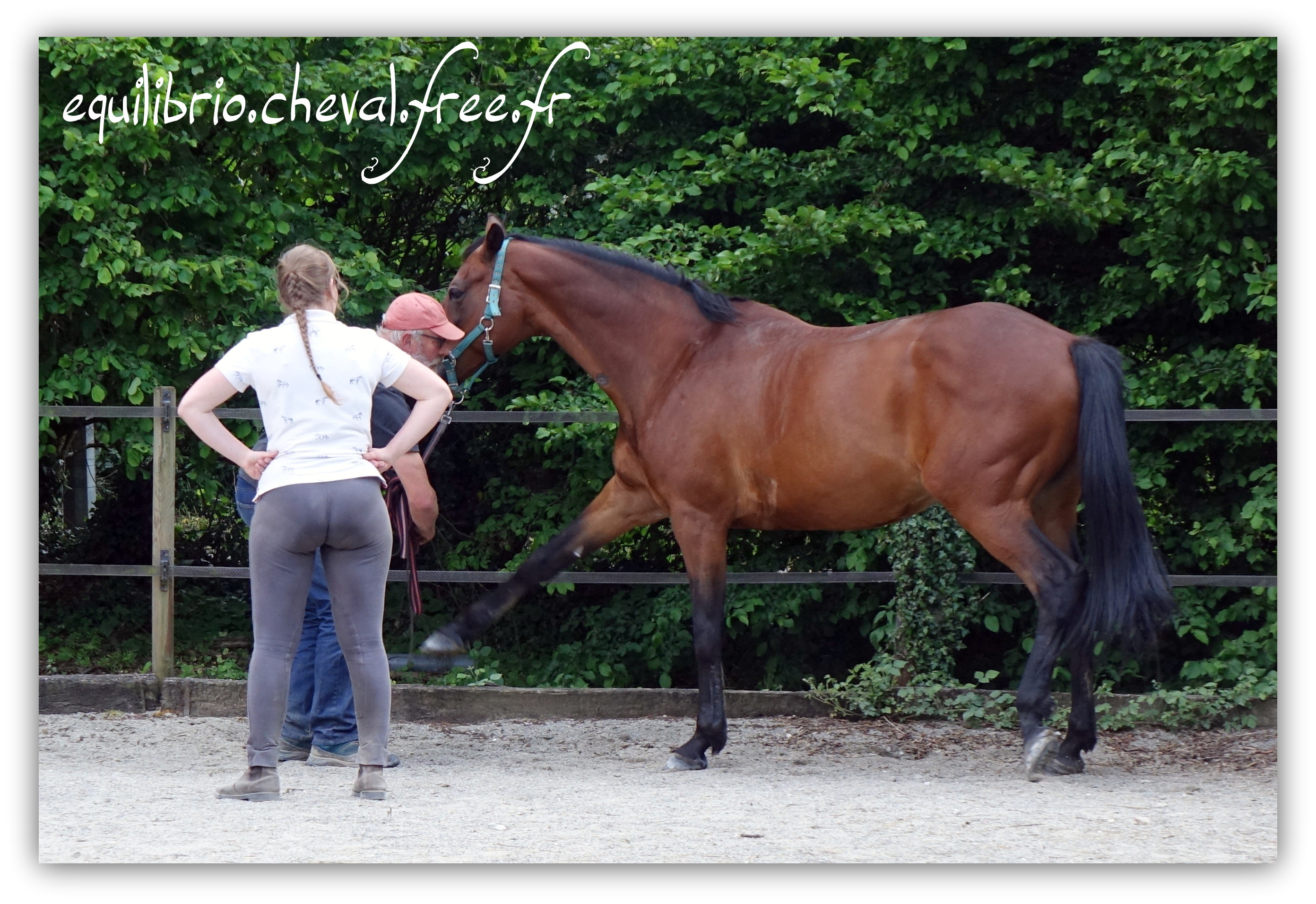 Equilibrio - Haras du Souzan -  Mai 2019 - Stage Travail en longe et Cirque avec Olivier Finet - AKARAD, Trotteur Français et Cassandre 