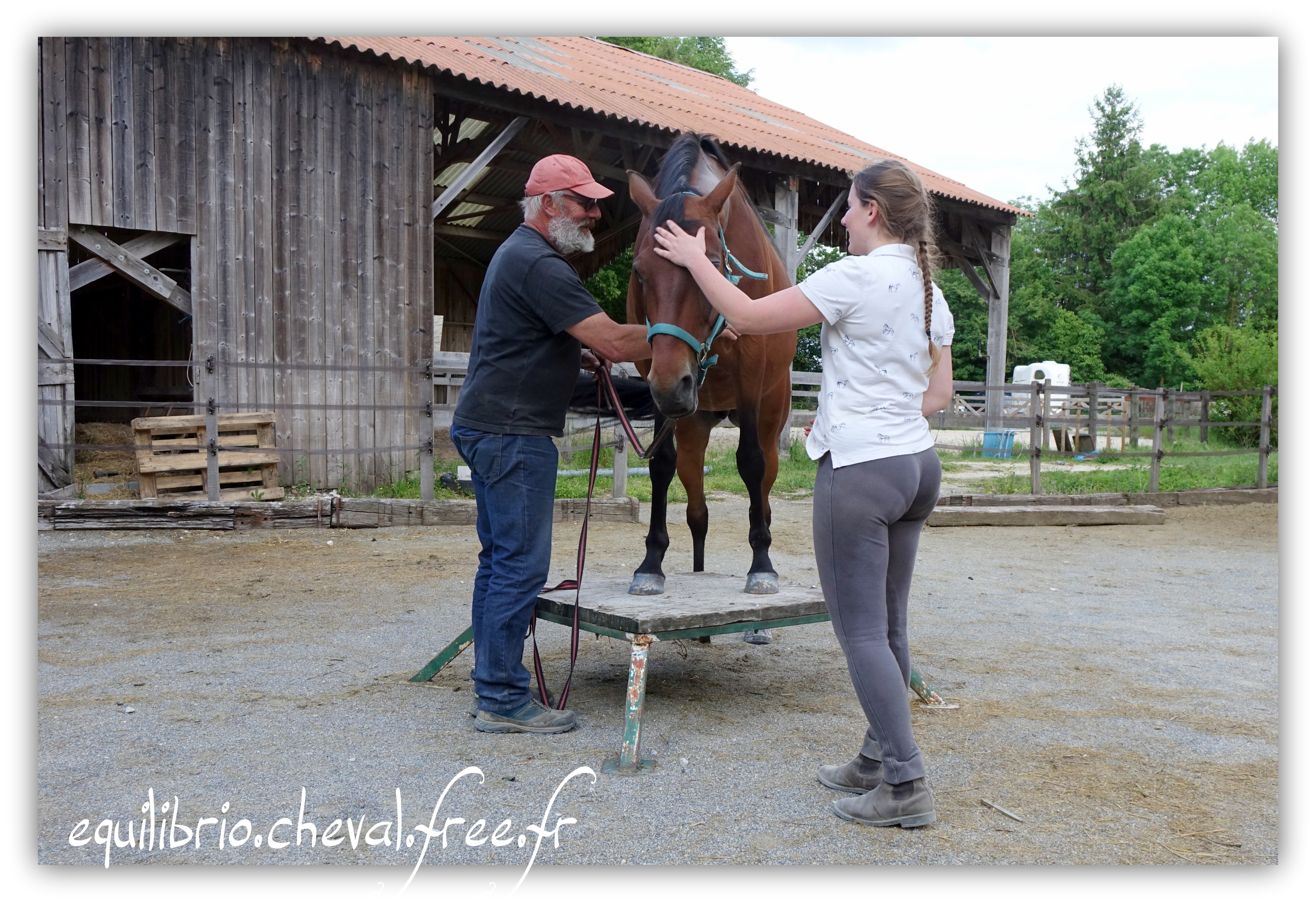 Equilibrio - Haras du Souzan -  Mai 2019 - Stage Travail en longe et Cirque avec Olivier Finet - AKARAD, Trotteur Français et Cassandre