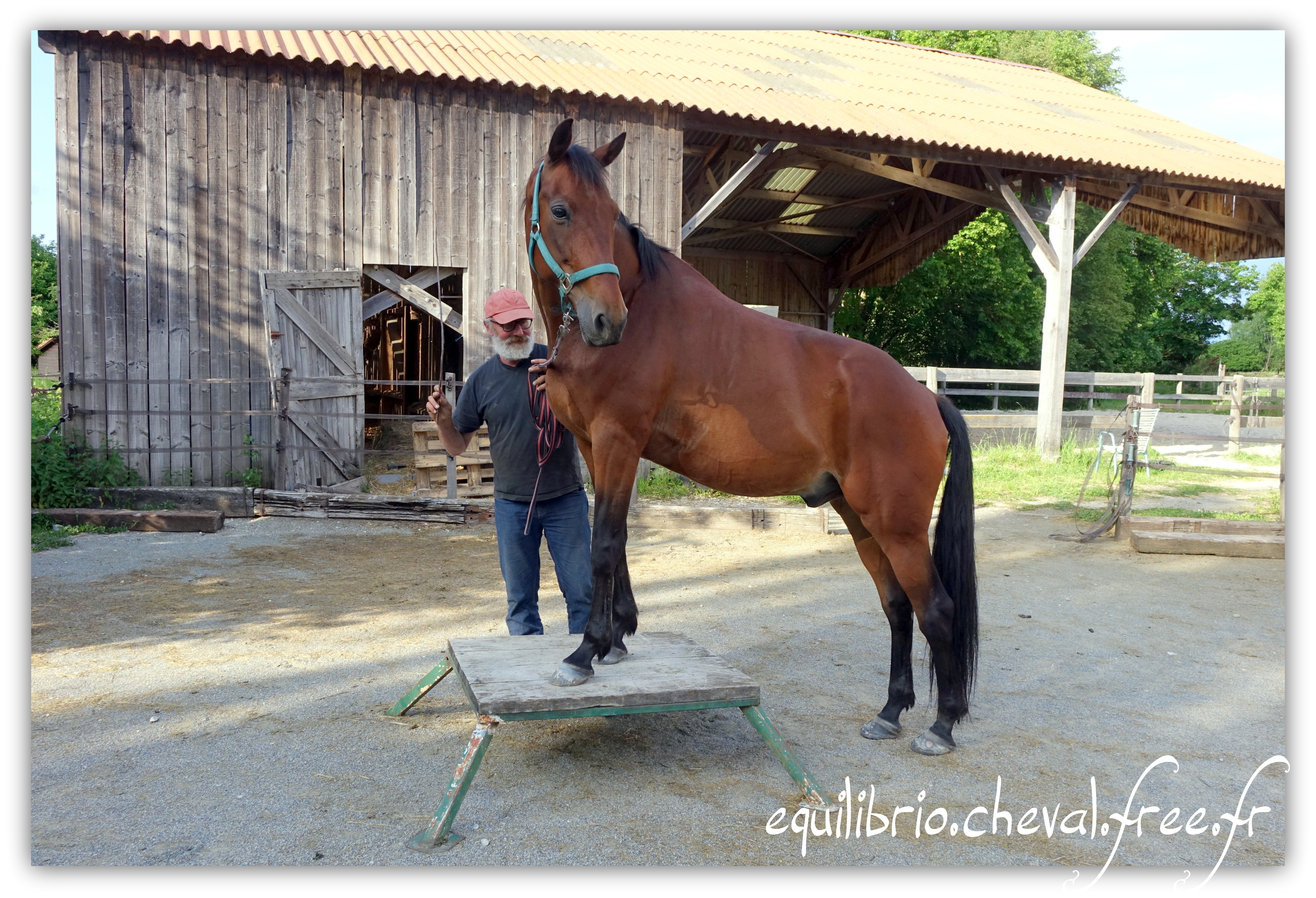 Equilibrio - Haras du Souzan -  Mai 2019 - Stage Travail en longe et Cirque avec Olivier Finet - AKARAD, Trotteur Français et Cassandre