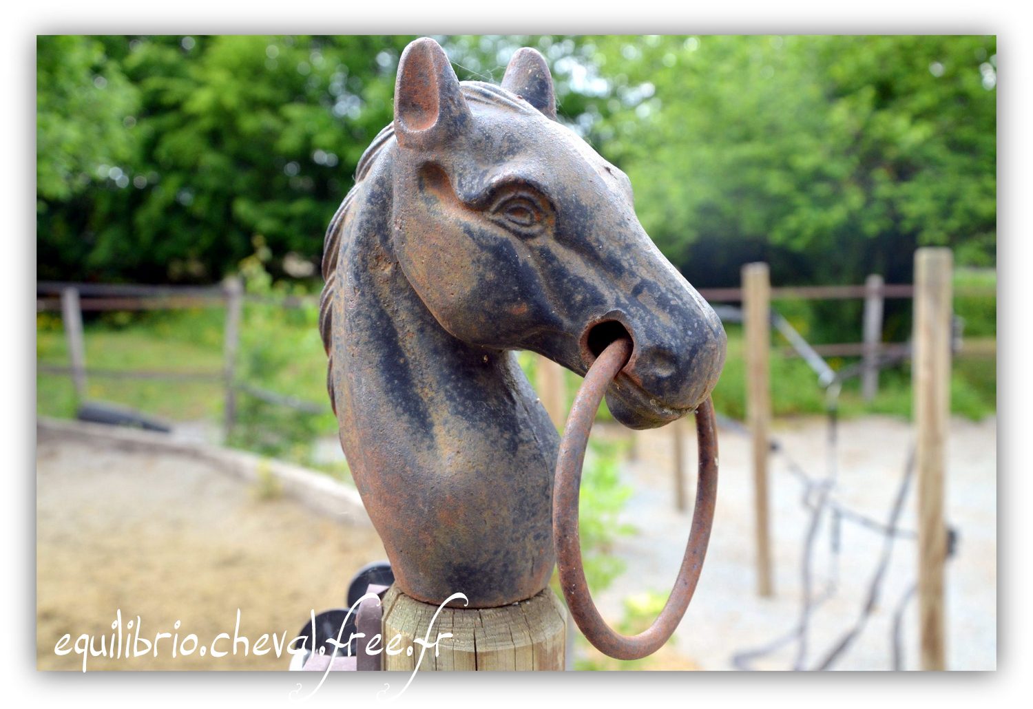 Equilibrio - Haras du Souzan -  Mai 2019 - Stage Travail en longe et Cirque avec Olivier Finet 