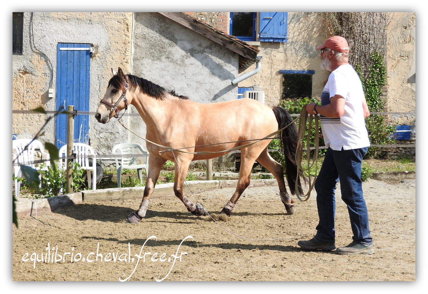 Equilibrio - Haras du Souzan -  Mai 2019 - Stage Travail en longe et Cirque avec Olivier Finet - BEST OF DES TROISMA, Poney Français de Selle et Maï