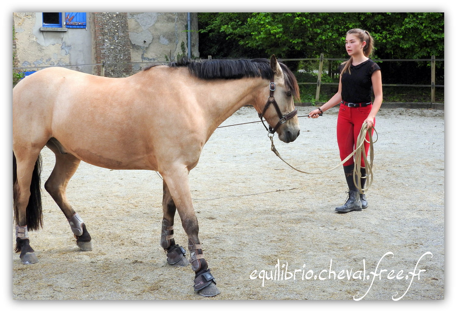 Equilibrio - Haras du Souzan -  Mai 2019 - Stage Travail en longe et Cirque avec Olivier Finet - BEST OF DES TROISMA, Poney Français de Selle et Maïa