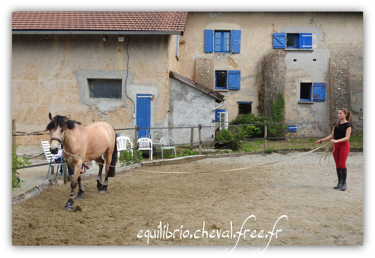 Equilibrio - Haras du Souzan -  Mai 2019 - Stage Travail en longe et Cirque avec Olivier Finet - BEST OF DES TROISMA, Poney Français de Selle et Maïa