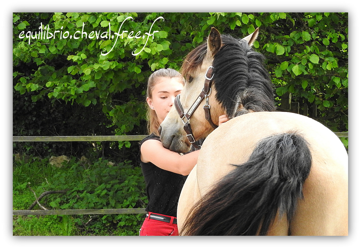 Equilibrio - Haras du Souzan -  Mai 2019 - Stage Travail en longe et Cirque avec Olivier Finet - BEST OF DES TROISMA, Poney Français de Selle et Maïa