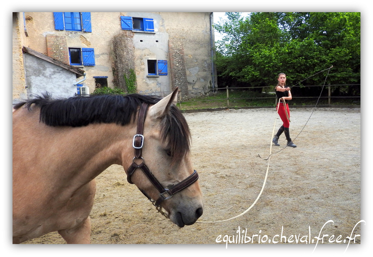 Equilibrio - Haras du Souzan -  Mai 2019 - Stage Travail en longe et Cirque avec Olivier Finet - BEST OF DES TROISMA, Poney Français de Selle et Maïa