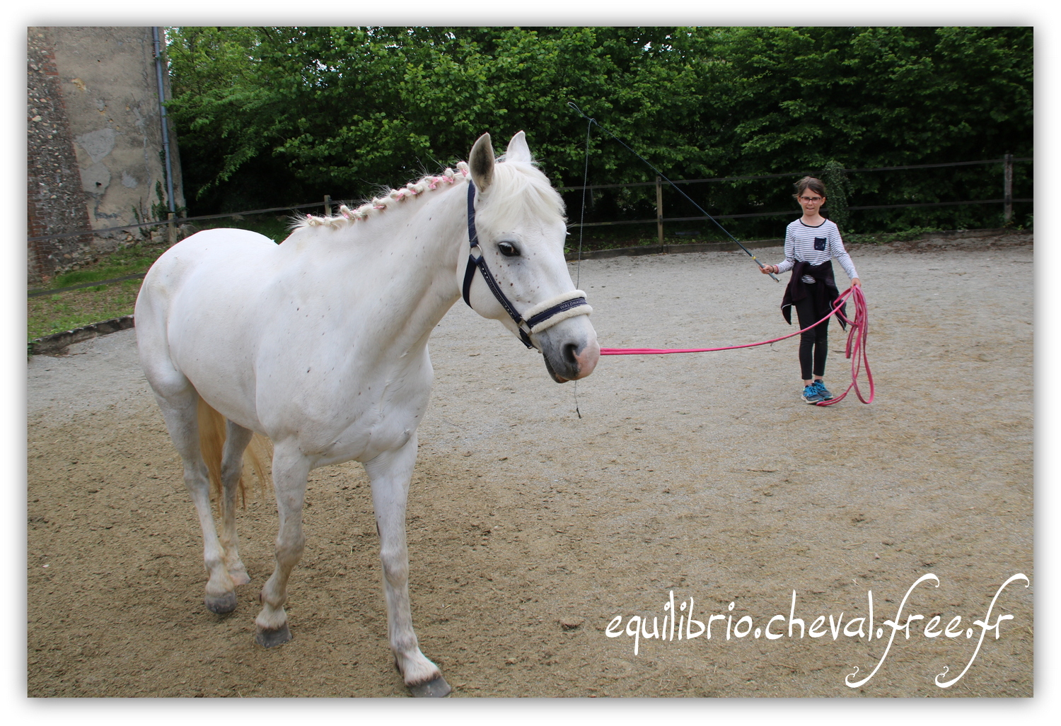 Equilibrio - Haras du Souzan - Mai 2019 - Stage Travail en longe et Cirque avec Olivier Finet - CELTIC WIND DUFF, Connemara et Lisa